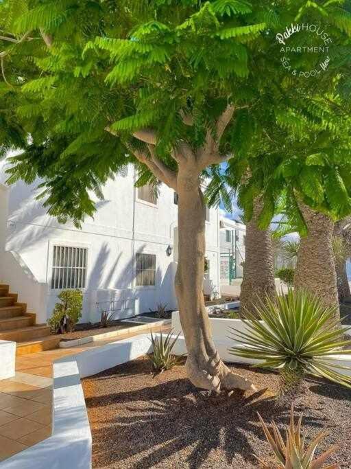 Ferienwohnung San Valentin Pakky House Corralejo Exterior foto